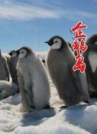 企鵝島
