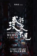 好久不見(jiàn)，武漢