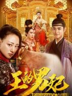 王的男妃