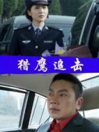 電影獵鷹追擊海報