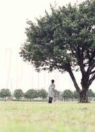 夢（2014）
