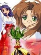 注視著你