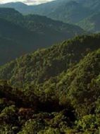 寂寨