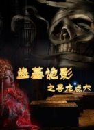 盜墓詭影之尋龍點穴
