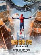 蜘蛛俠:英雄歸來(lái) 中文版