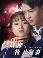 總裁的特工寵妻