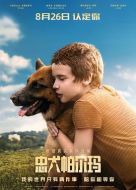 電影忠犬帕爾瑪海報