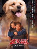 忠犬情緣