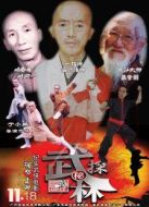 電影武林探秘海報(bào)