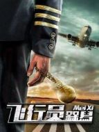 電影飛行員呆呆鳥海報