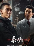 電影暴風海報