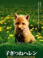 子狐物語