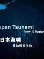 日本海嘯是如何發生的