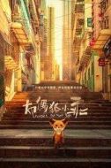 高卓