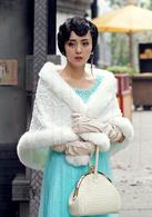 陳麗君