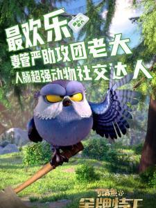貓頭鷹