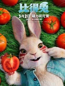 棉尾兔