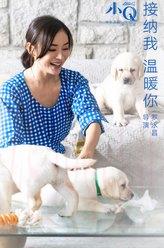 楊紫璇（楊紫璇飾演）