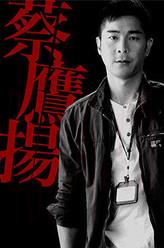蔡鷹揚(yáng)