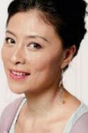 陶木槿