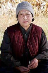 田母