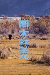 翟曉彤