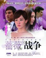 薔薇的戰爭劇情介紹(1-30全集)