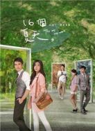 16個夏天劇情介紹(1-16全集)