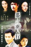 都市麗人行劇情介紹(1-20全集)