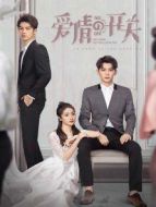 愛情的開關[TV剪輯版]劇情介紹(1-48全集)