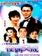 佳偶天成海報