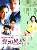 愛如風過劇情介紹(1-20全集)