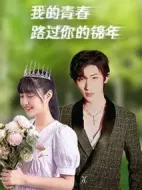 我的青春路過(guò)你的錦年劇情介紹(1-30全集)