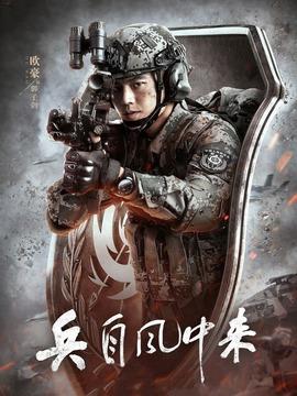 兵自風(fēng)中來劇情介紹（1-36全集）大結(jié)局
