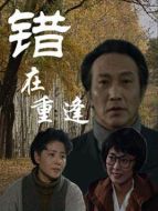 錯在重逢劇情介紹(1-20全集)