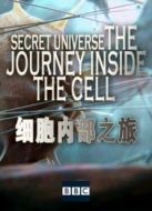 BBC：細胞內部之旅劇情介紹(1-1全集)