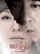 婚前協議劇情介紹(1-40全集)
