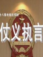 仗義執(zhí)言劇情介紹(1-18全集)