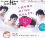 白馬王子純愛適齡期劇情介紹(1-13全集)