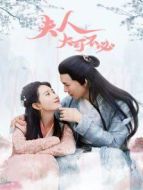 夫人，大可不必劇情介紹(1-12全集)