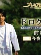 頑皮醫生劇情介紹(1-2全集)
