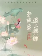 當咸魚遇上錦鯉劇情介紹(1-15全集)