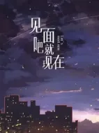 見面吧就現在劇情介紹(1-20全集)