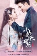小女上房揭瓦劇情介紹(1-24全集)