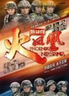 我是特種兵之火鳳凰（TV版）劇情介紹(1-62全集)
