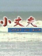 小丈夫 1999劇情介紹(1-20全集)