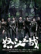 怒江之戰劇情介紹(1-43全集)