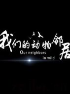 我們的動物鄰居海報