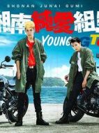 湘南純愛組！劇情介紹(1-8全集)