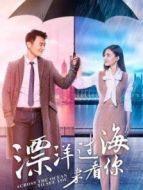 漂洋過(guò)海來(lái)看你DVD版劇情介紹(1-44全集)